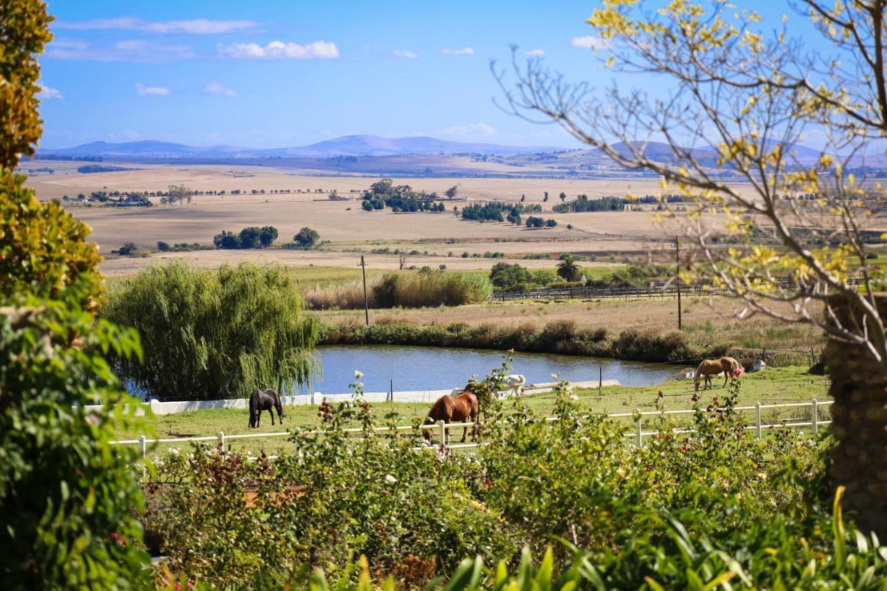 Landskroon Cottage Paarl Exteriér fotografie